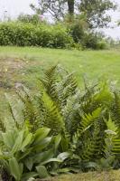 Långt skärpedjup med bländare 16