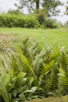 Kort skärpedjup med bländare 5,6