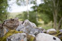 Normalexponerad bild